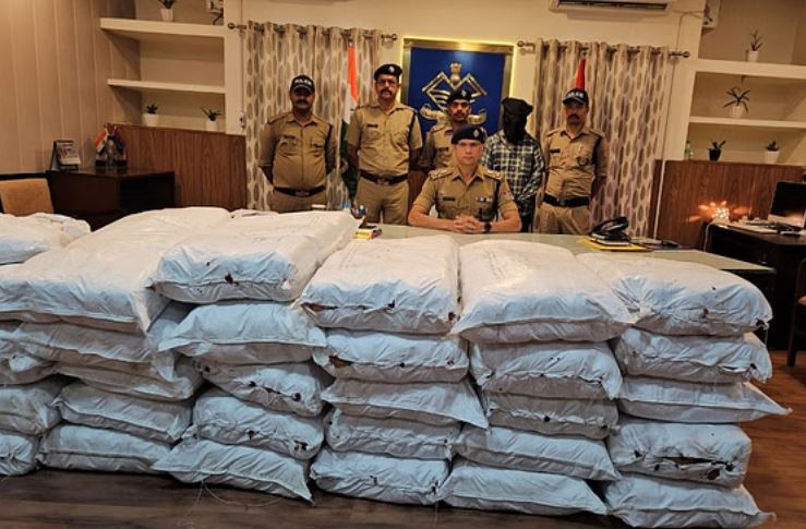 गांजा