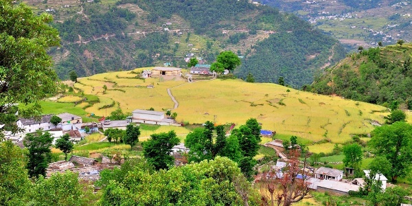 सारी गांव बना मिसाल