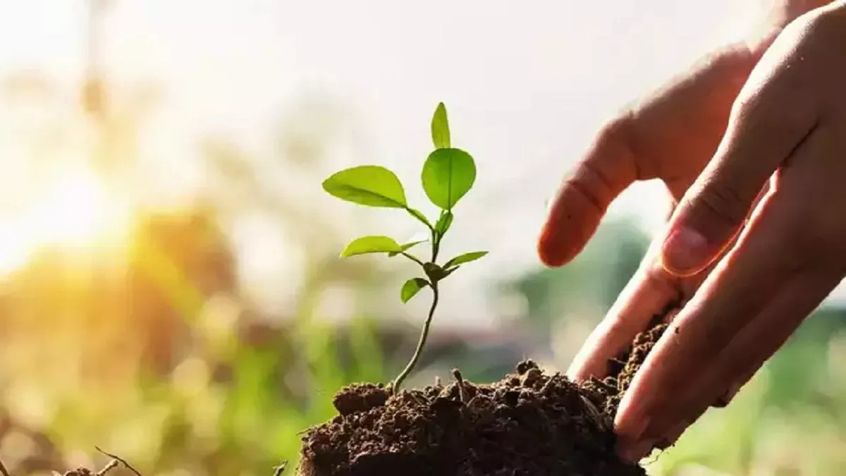 पौधरोपण-अभियान - 5 जून