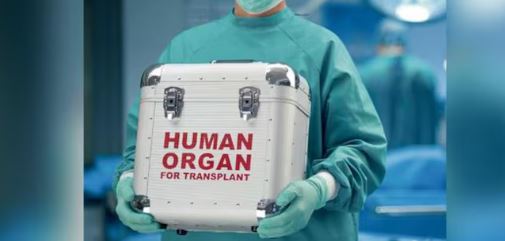 organ bank in doon