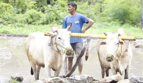 किसान