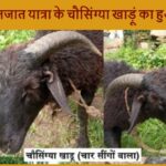 नंदा राजजात यात्रा के चौसिंग्या खाडू़ का हुआ जन्म, जानें कहां लिया जन्म