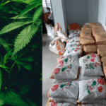 पुलिस ने नशा तस्करी के खिलाफ बड़ी सफलता की हासिल