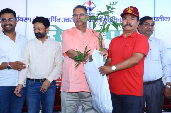 फलदार पौधे