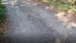 कौल्लू बैण्ड-सुवारी ग्वास मोटर मार्ग बदहाल, 1.32 करोड़ खर्च होने के बाद भी खस्ताहाल
