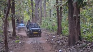 बड़ी खबर : कॉर्बेट टाइगर रिजर्व में अगले आदेश तक बंद हुई जंगल सफारी