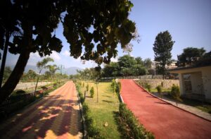 Uttarakhand: एमडीडीए का सिटी फॉरेस्ट पार्क बना देहरादून का नया आकर्षण, प्रकृति, स्वास्थ्य और पर्यटन का आधुनिक संगम