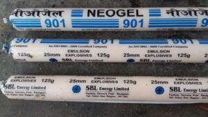 Uttarakhand: राजकीय इंटर कॉलेज डभरा परिसर में 161 जिलेटिन छड़ें बरामद, जांच में जुटी पुलिस