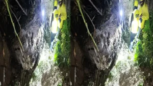 Uttarakhand: अल्मोड़ा में दर्दनाक सड़क हादसा, खाई में गिरा वाहन, चालक की मौत