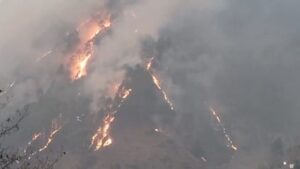 Uttarakhand: चमोली में भीषण वनाग्नि: 20 हेक्टेयर से अधिक जंगल राख, गांवों पर भी मंडराया खतरा