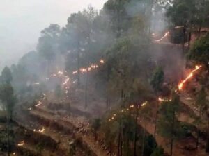 Uttarakhand: पिथौरागढ़ के अस्कोट अभ्यारण्य में भीषण वनाग्नि, दुर्लभ वन्यजीवों पर संकट