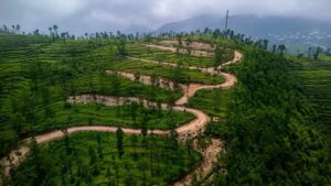 Uttarakhand: भू कानून उल्लंघन के आरोपों पर पौड़ी प्रशासन सख्त, सफदरखाल की कथित अवैध टाउनशिप परियोजना पर डीएम ने लगाई रोक