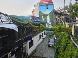 Uttarakhand: मसूरी में आधी रात माल रोड पर गिरा पेड़, होटल की छत और रेलिंग क्षतिग्रस्त; मची अफरा-तफरी