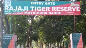 Uttarakhand: राजाजी टाइगर रिजर्व में अब फुल डे सफारी की तैयारी, हर गेट से दो वाहनों को मिलेगी अनुमति