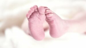 Uttarakhand: हरिद्वार में कूड़े के ढेर में मिली सात दिन की नवजात बच्ची, पुलिस माता-पिता की तलाश में जुटी